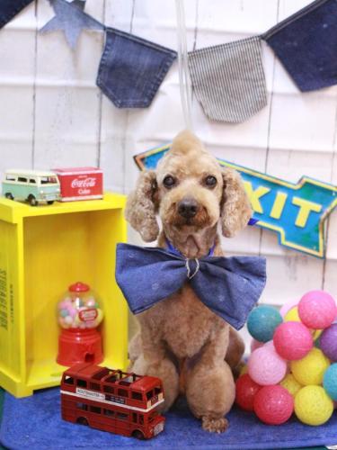 20230415ノンくん